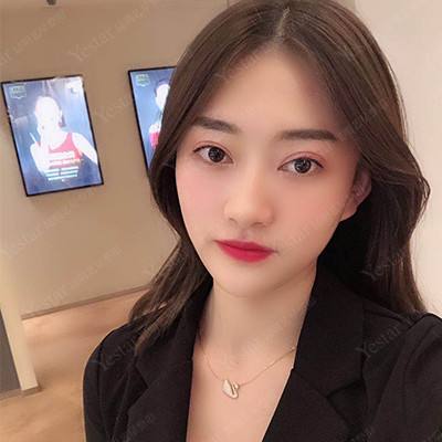 恋下统一战国之主手游下载